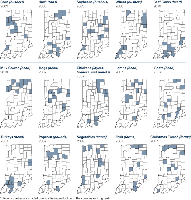 Figure 2: Top Ten Producing Counties of Agriculture Commodities