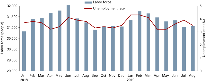 Combination graph from January 2018 to August 2019 showing fluctuations in labor force and the unemployment rate for Wayne County.