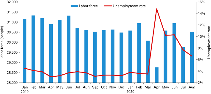 Combination graph from January 2019 to August 2020 showing county labor force and unemployment rate on separate axes.