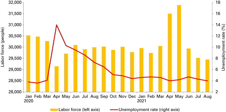 Combination graph from January 2020 to August 2021, showing labor force and unemployment rate for the county