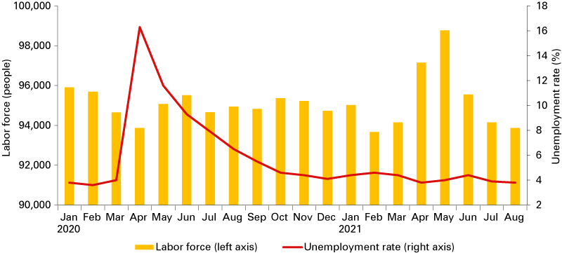 Combination graph from January 2020 to August 2021, showing labor force and unemployment rate for the region.