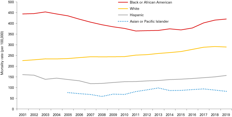 Line graph from 2001 to 2019 showing mortality rates for black, white, Hispanic and Asian groups